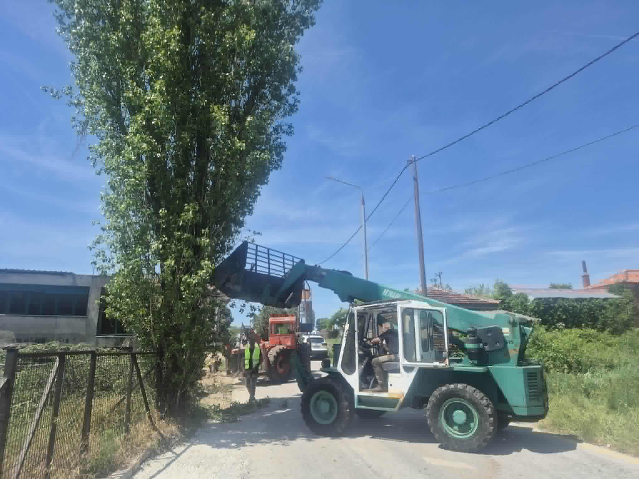 Κοπή δέντρων στη Δεσκάτη